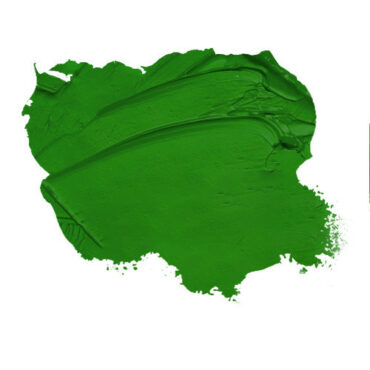 Grass Green - Artist Colour in Oil